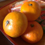 「みかん」には驚きの栄養がある！効能は？