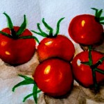 【ミニトマト】植えつけ時期と育て方！？