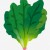 【たけしの健康エンターテイメント】先取り健康法！常備菜の作り方